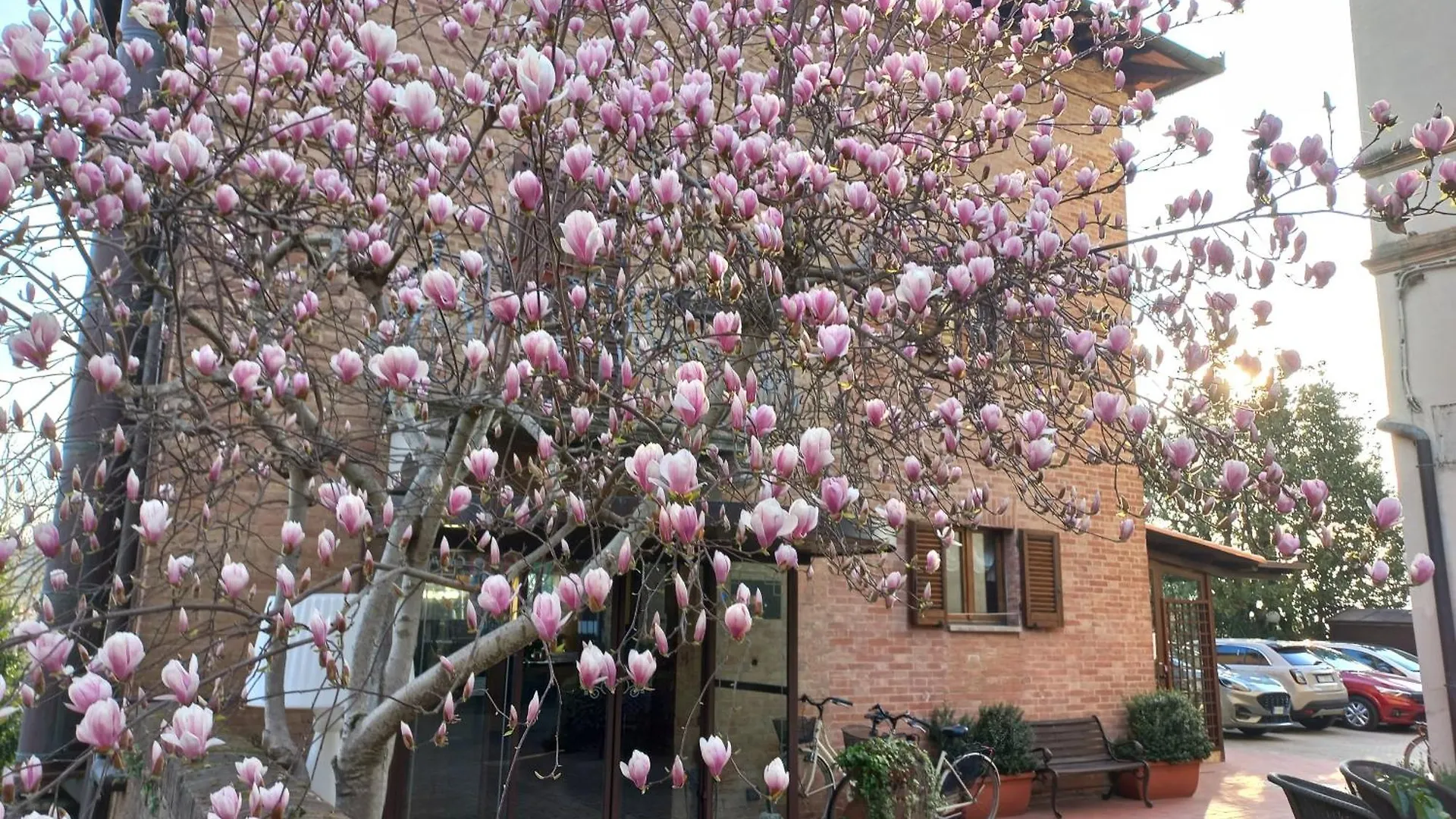 Hotel Arcobaleno Σιένα